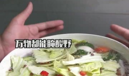腌菜做法爆料视频教程,一学就会！腌菜制作视频教程大揭秘