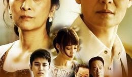 电视剧婆婆在线观看,家庭伦理剧的温情演绎