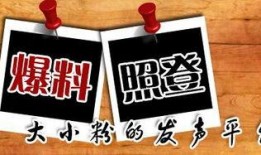 海南当地新闻爆料平台,揭秘岛内热点事件背后的真相