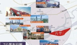 东莞口罩厂爆料事件视频,揭秘口罩生产背后的真相