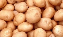 在线观看土豆l,畅享海量影视盛宴的便捷之旅