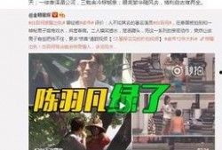 亚军爆料张大凡视频全集,张大凡视频全集背后的惊人真相