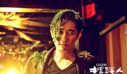 爆料西红柿的人是谁啊视频,真相即将揭晓