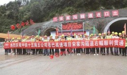 苍溪最新爆料,揭秘事件背后惊人真相