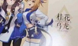 原神飞碟社动画最新爆料,探索神秘世界，揭开角色神秘面纱！