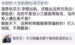 网友爆料包贝尔视频大全,网友爆料揭秘明星幕后生活