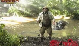 丛林在线完整观看,揭秘神秘丛林探险之旅