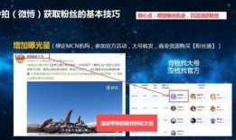 爆料短视频要求怎么写文案,爆款文案撰写攻略
