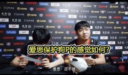 一诺爆料采访视频全集