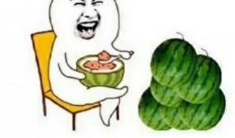 积极的吃瓜娱乐