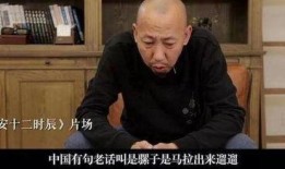 陈凯歌爆料大导演视频,大导演背后的真实故事