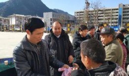 洛南爆料最新新闻事件