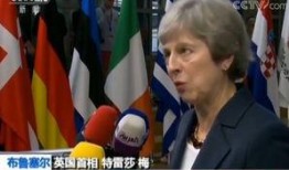 欧盟官员爆料新闻事件,揭秘重大新闻事件内幕