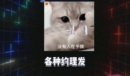 娱乐圈吃瓜爆料游戏推荐,揭秘明星幕后吃瓜爆料游戏大揭秘