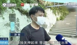 网红吃瓜挨打是真的吗,真相揭秘