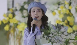 白鹿邓凯最新爆料,揭秘娱乐圈背后的惊人真相