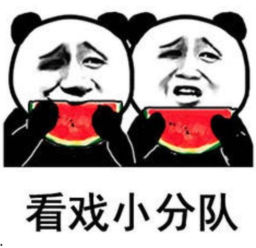 娱乐圈吃瓜表情包图片